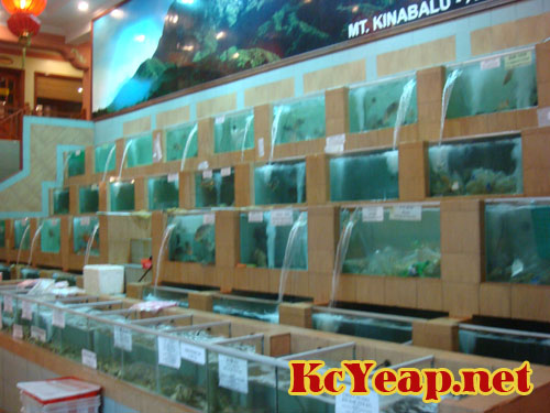 seafood12