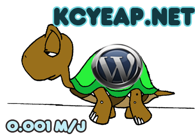 wordpress