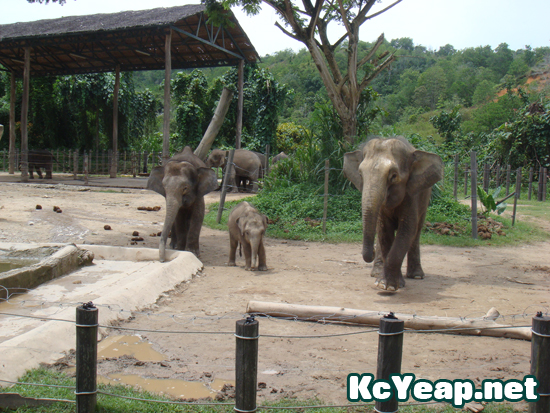 zoo04 zoo04