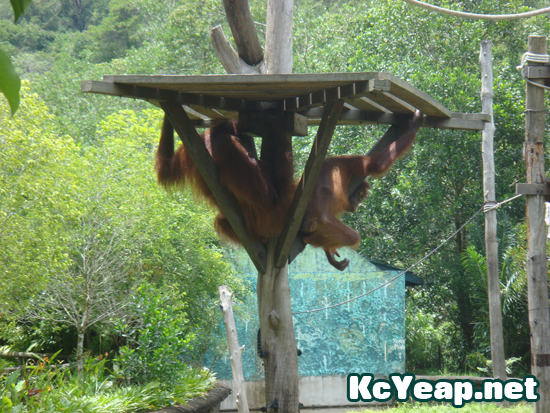 zoo05 zoo05