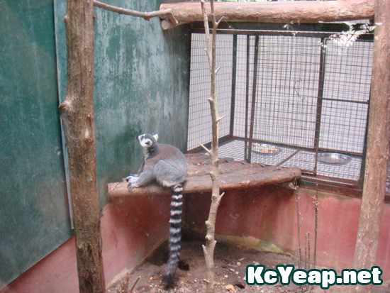 zoo07 zoo07