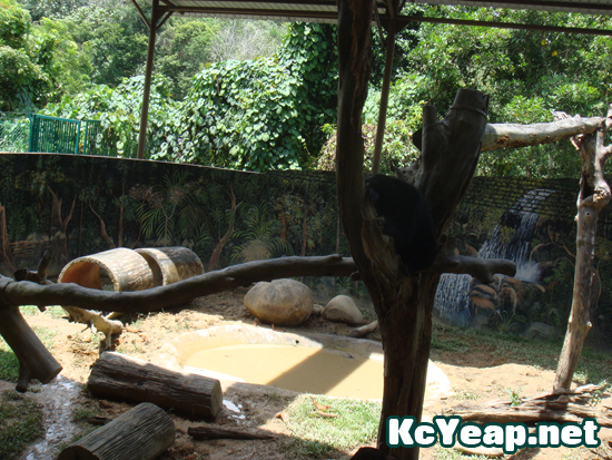 zoo11 zoo11