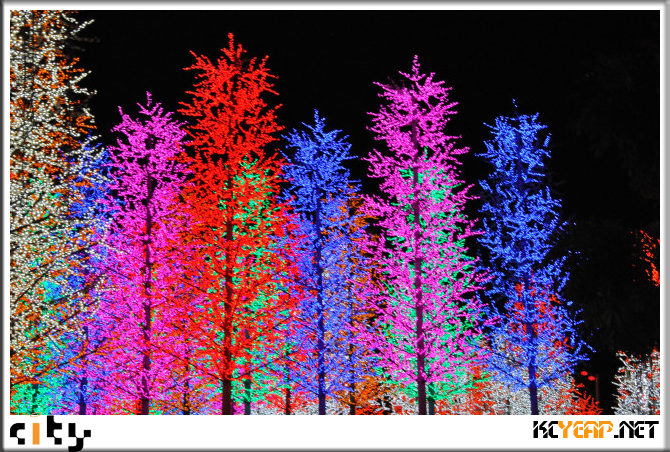 icity02