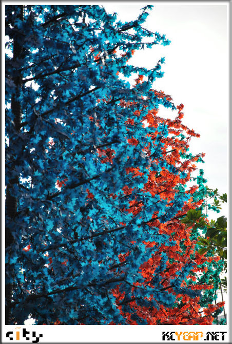 icity05