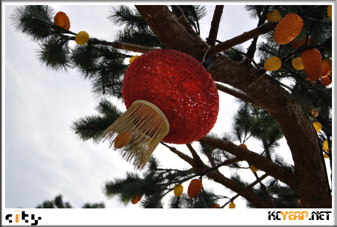 icity07